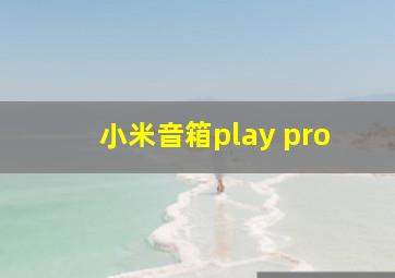 小米音箱play pro